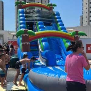 מתנפח דקלים הוריקן